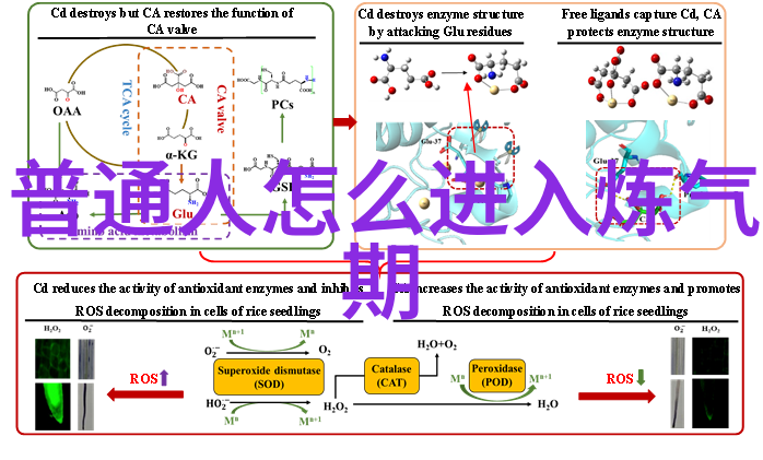 补注老子道德经校释