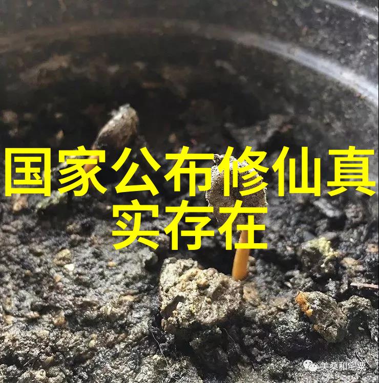 修行的最高境界心地纯净智慧如海内在修养与外在成就的完美统一