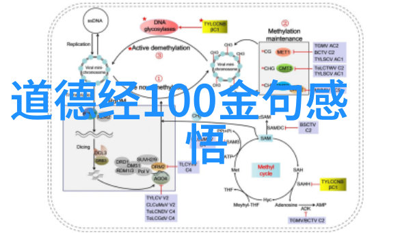 五雷诀的精髓与修炼实践