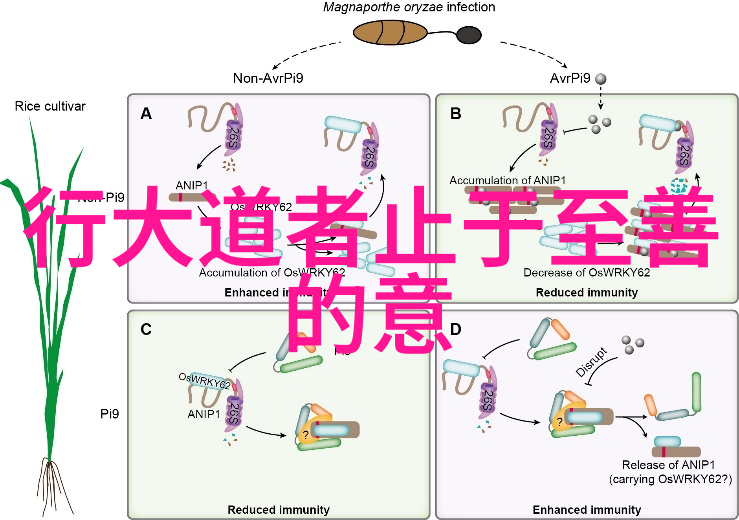 深谷秘训修道入门之谜