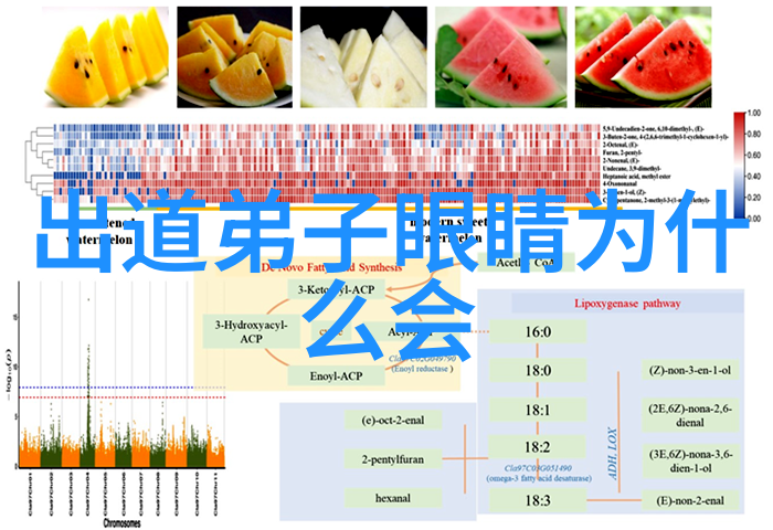 探索道家智慧的秘密解锁玄学入门的神秘之门