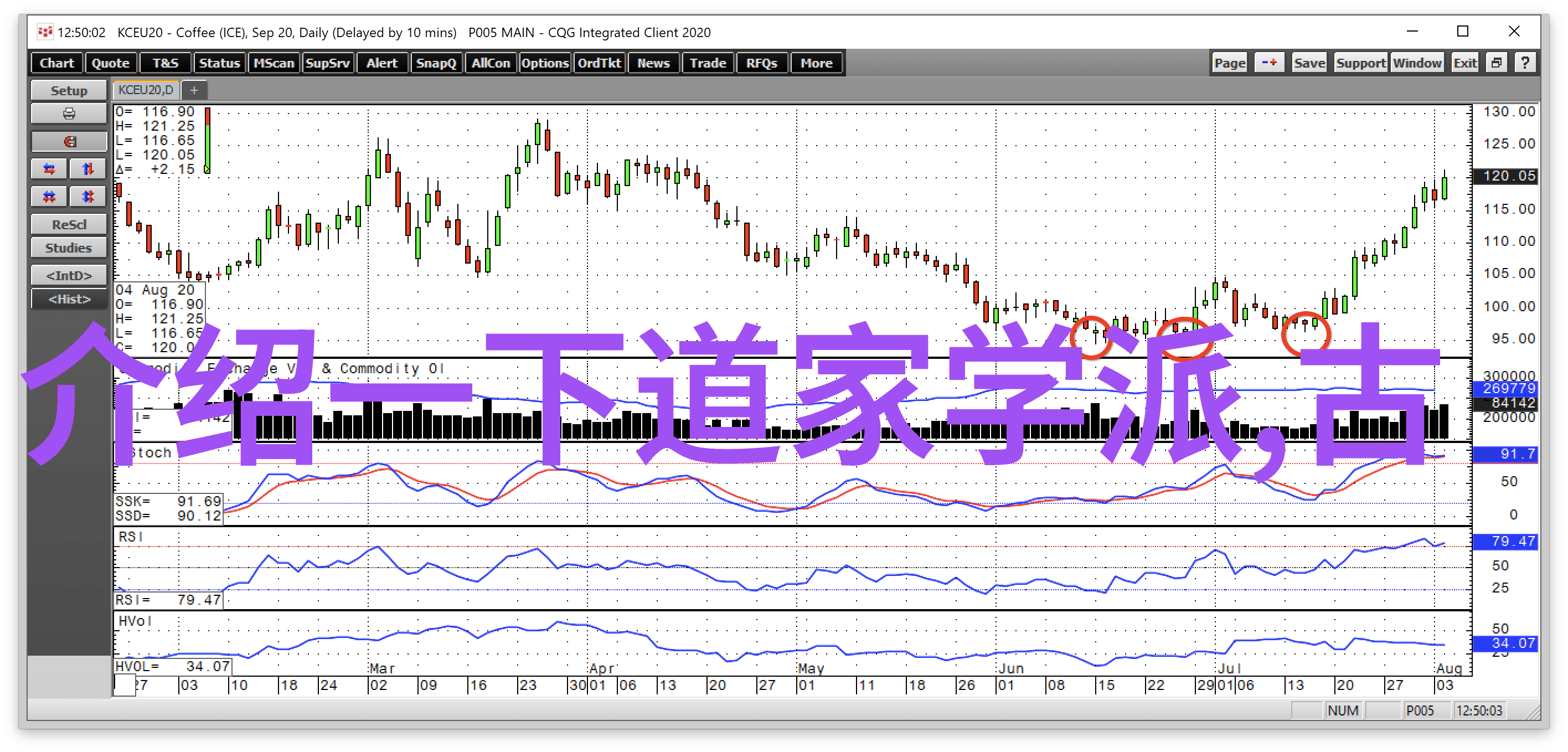 了解性無為一個追求內心和諧的生活方式