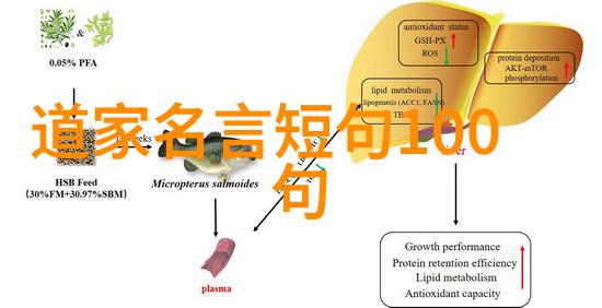 大道至简的哲学深度探索大道至简思想的核心精髓