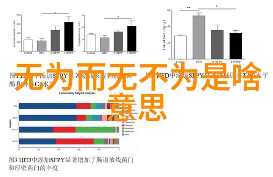 冬至节广东陆河端午风情