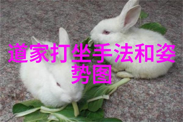 张道陵道教创始人真武经典著作家