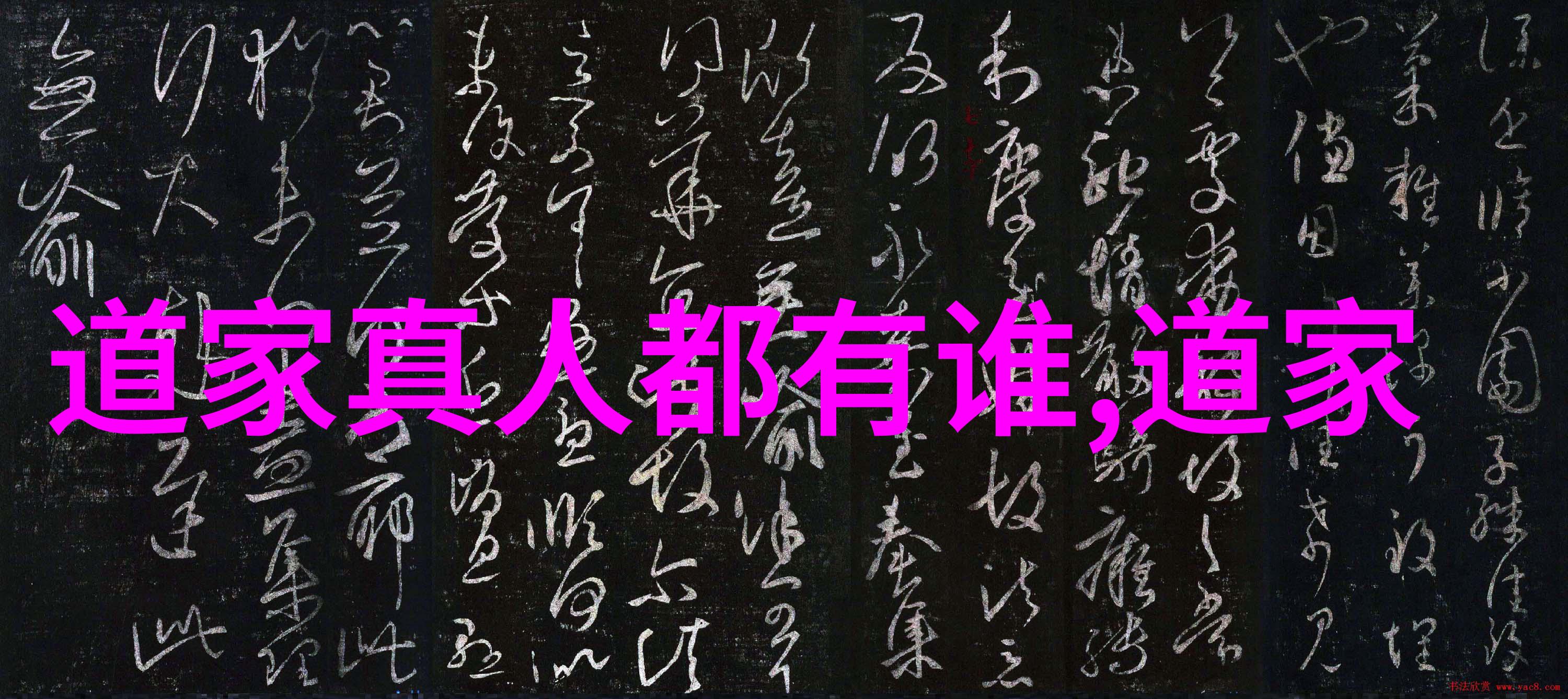 道家哲学在当代社会有何启示