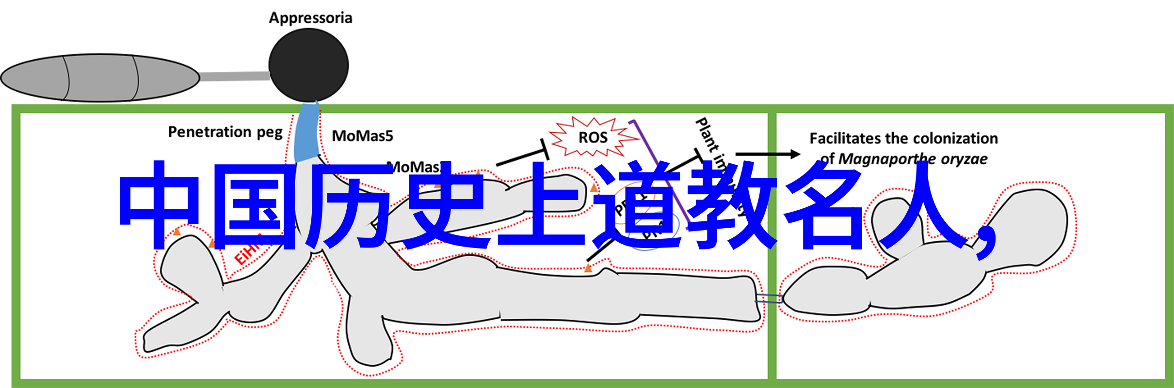 天庭换了几任玉帝中国神话中的皇位更迭与传承