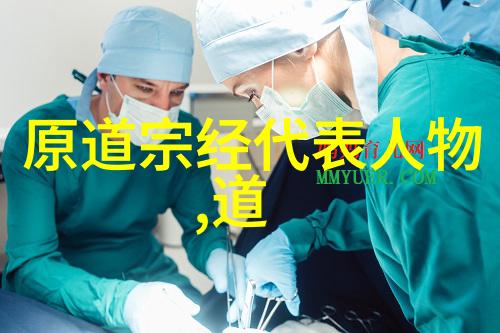 浮屠派与华岳派论述两大流派在道家哲学中的作用