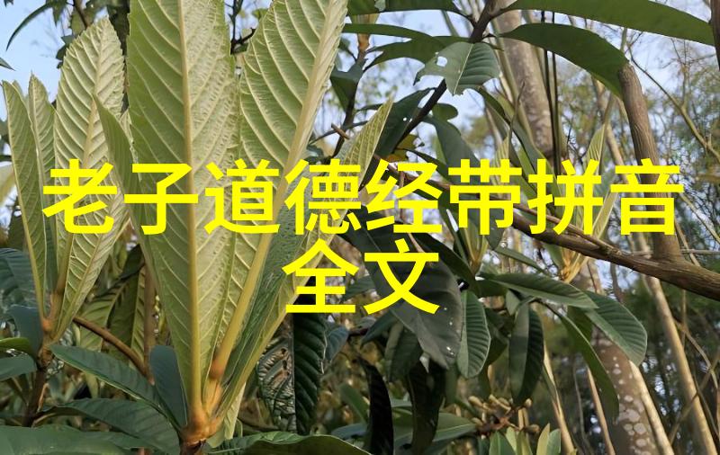 道家思想的创始人是谁探索其哲学与文化影响