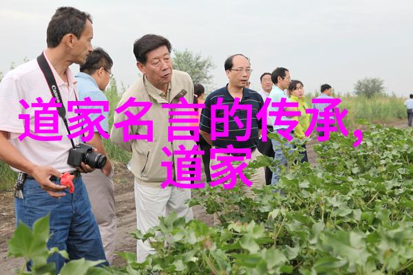 甜蜜伴侣共享梦想爱睡在一起的温馨时光