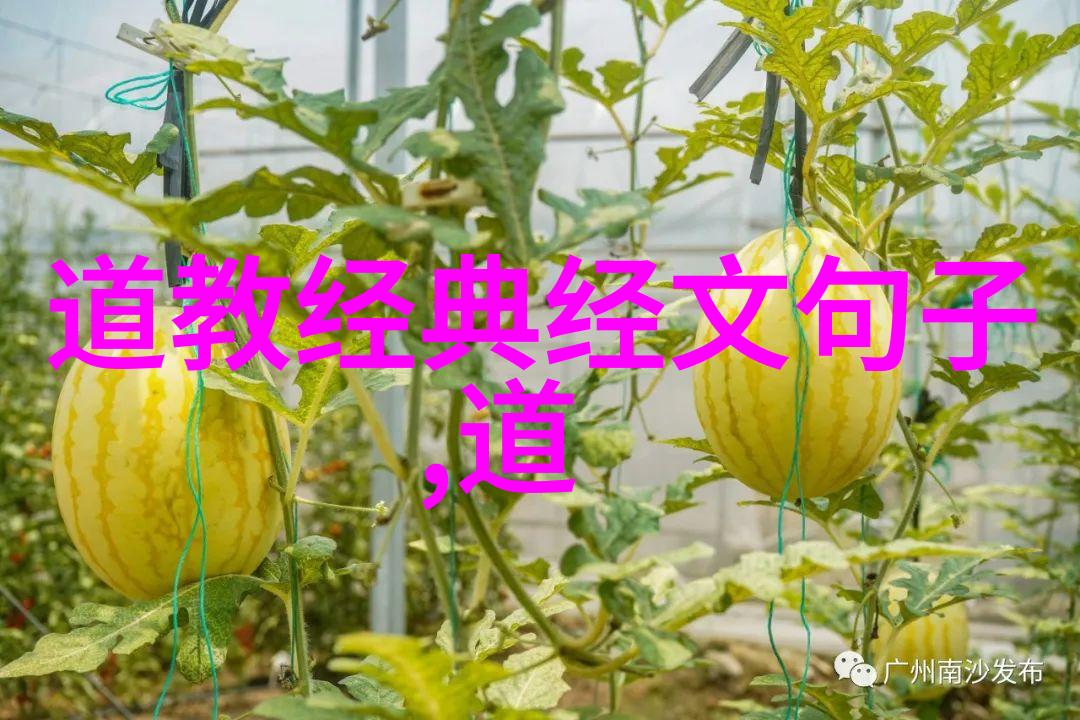 书写史上神话深度解读王羲之的艺术风范