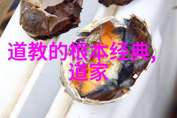 家庭娱乐新篇章妻子5免费完整高清电视的魅力