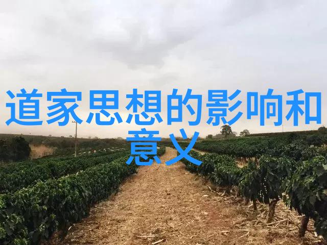 天界之门道教秘密史的未解谜团