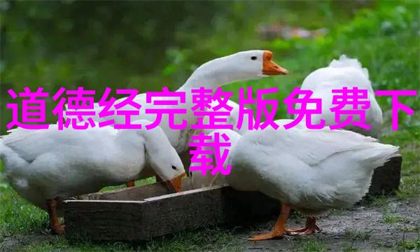 山河之内女人之外揭秘易經中的 femininity 形成机制