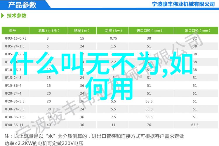 道家文化的杰出代表人物中国古代哲学武术和养生之父