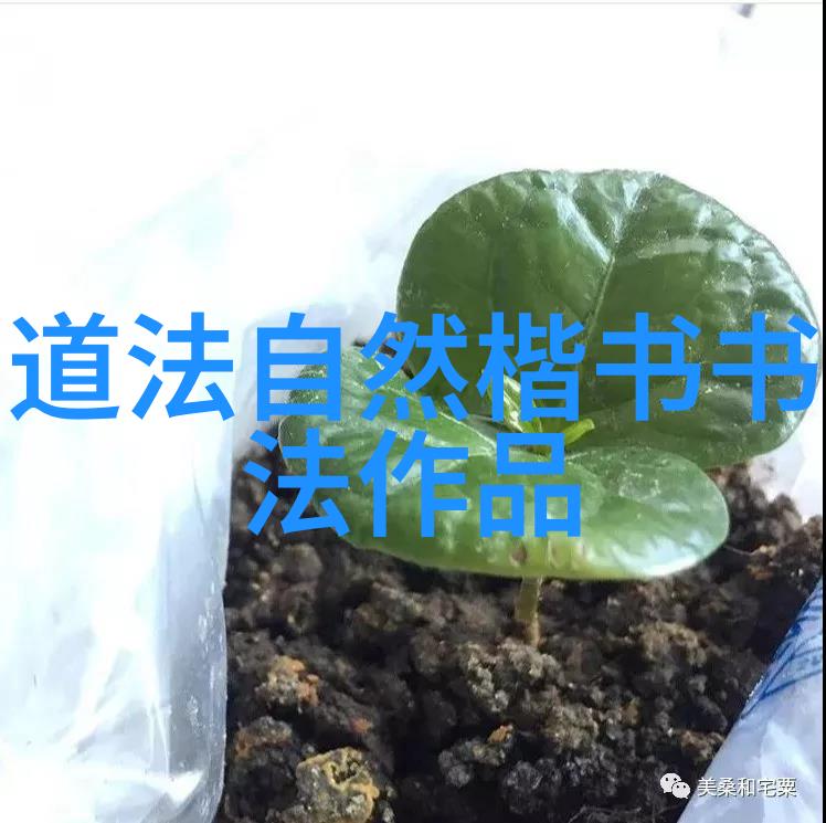 道教中如何运用符咒来达到治疗和驱邪的效果