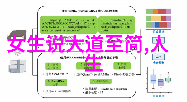 道德境界的奇妙旅人笑对世间纷争的无所畏惧者