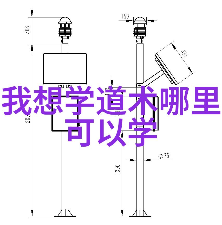 天赐智慧悟解生命的本真意义