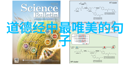 道教关于持斋的功德适合朋友圈分享的道德经在社会中的应用