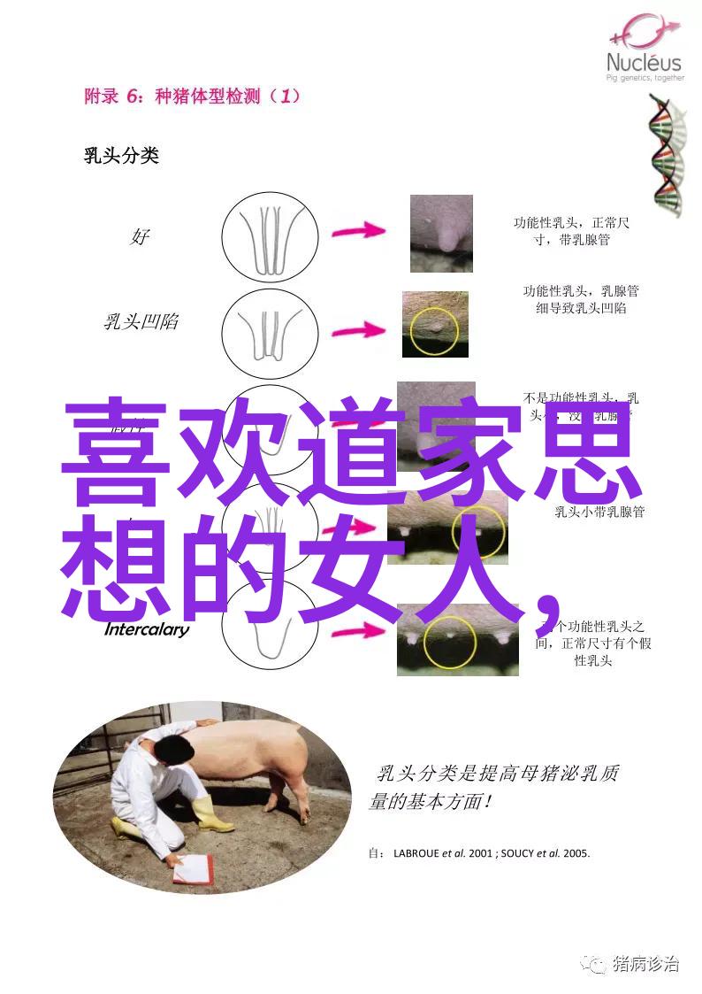 西安青华宫领悟道家呼吸吐纳法之精髓