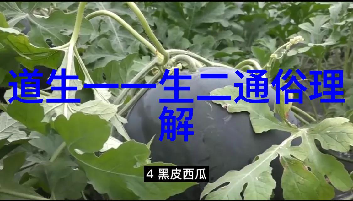 笑料横生把棒棒糖放屁眼的无厘头挑战