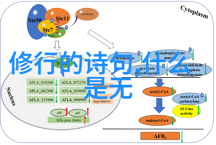 从中医到道法祖師爺如何塑造了中国传统医学体系