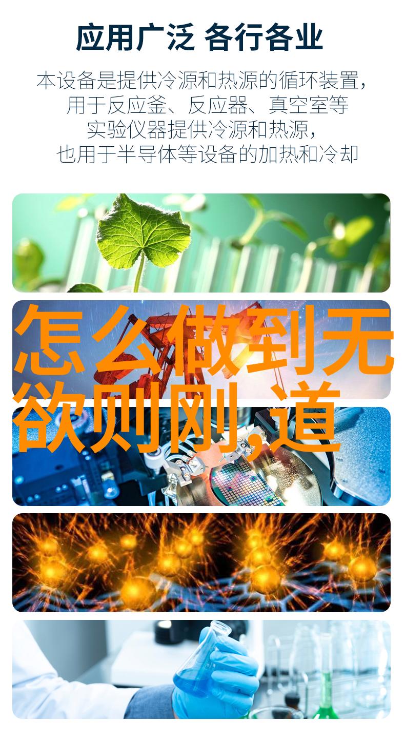 无为之治古代政治哲学中的治国理念