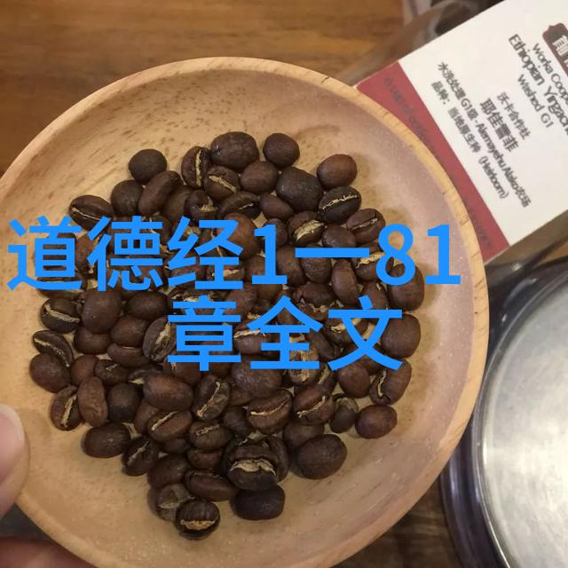 道德经中的性命两界论对我们的价值观念有何启示