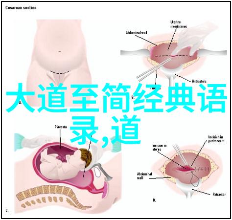 静心之旅一个女人的道德经阅读体验与感悟