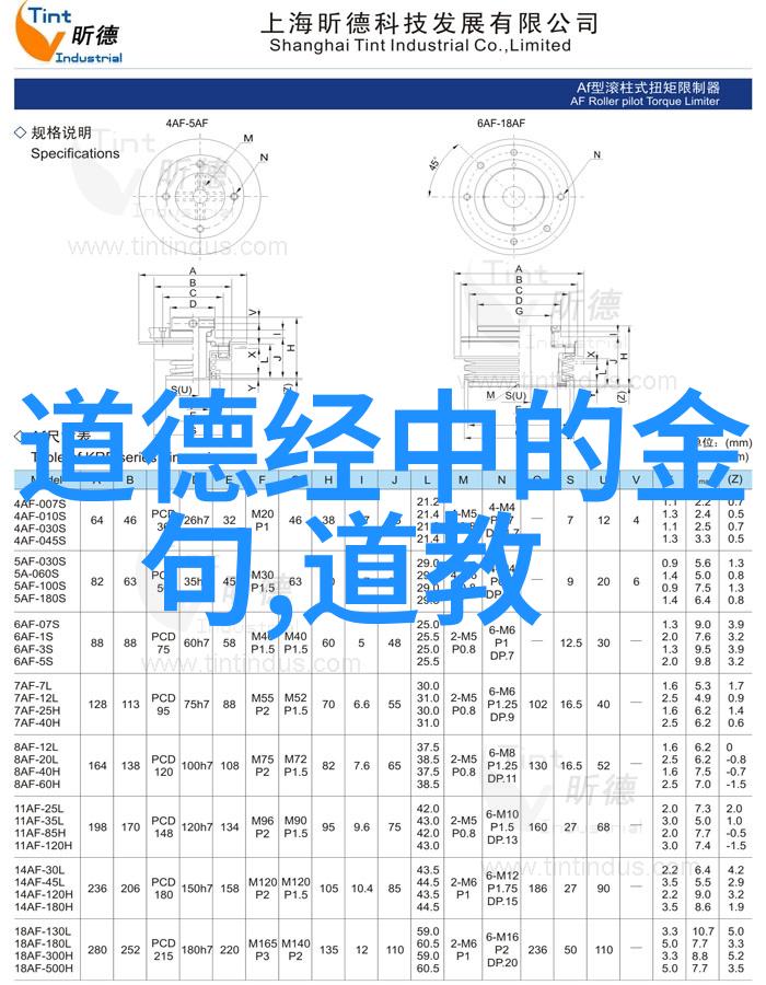 在日常交流中使用大道至简这个成语能否避免误解或冲突呢