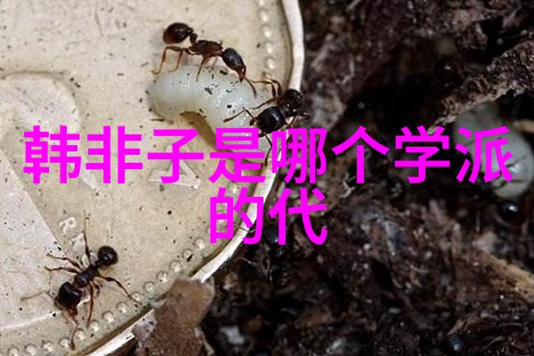 无为与无不为如何辩证-静观与积极探索无为与有为之间的辩证关系