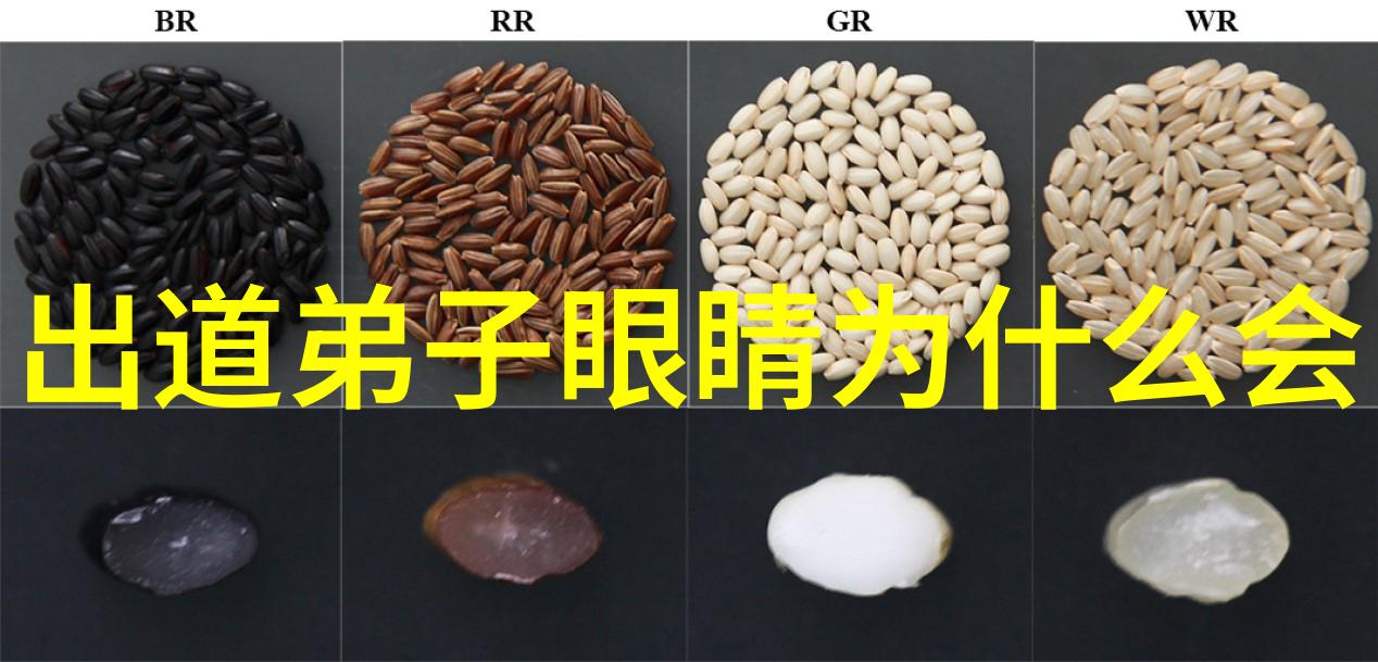 让我桶她的BB主题总结探索友情与责任的边界