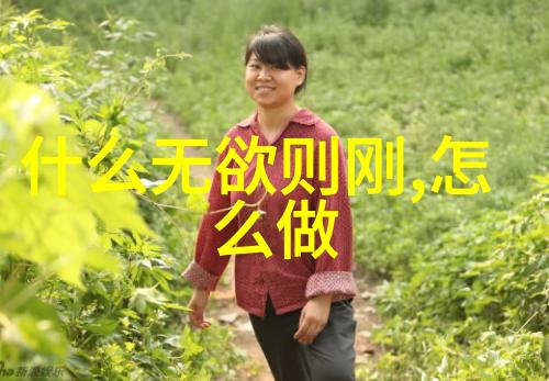 道家哲学的生活方式与人际交往原则