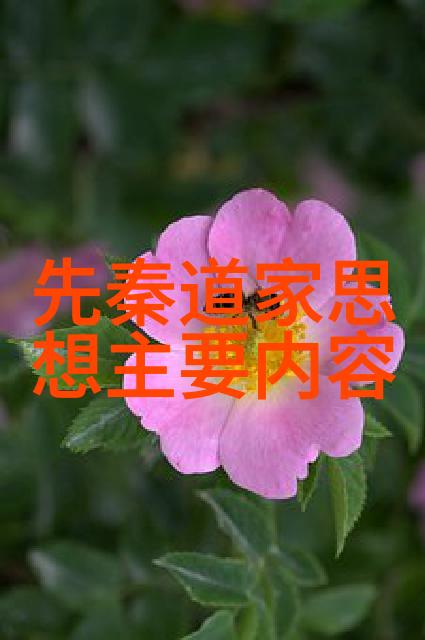 黄帝内经与道教修炼古代医学与哲学的深度融合有何奥秘