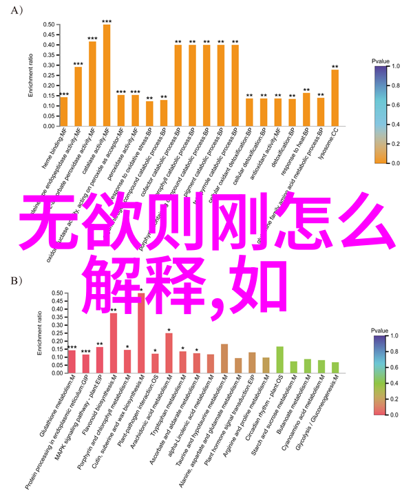 无欲则刚繁体字深度解析探索无欲文化背后的哲学意义