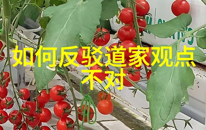 揭秘悟道经典语录中的人生三大定律是什么