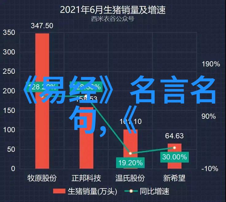 街头的和声她如何用一句话点亮他人的世界