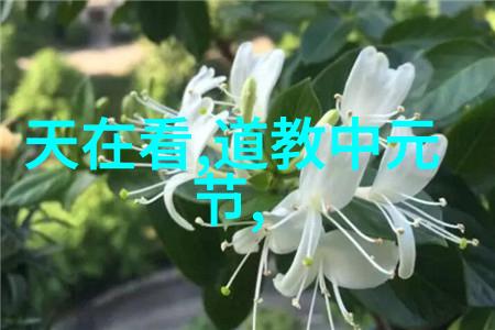 道家哲学如何理解无为而治