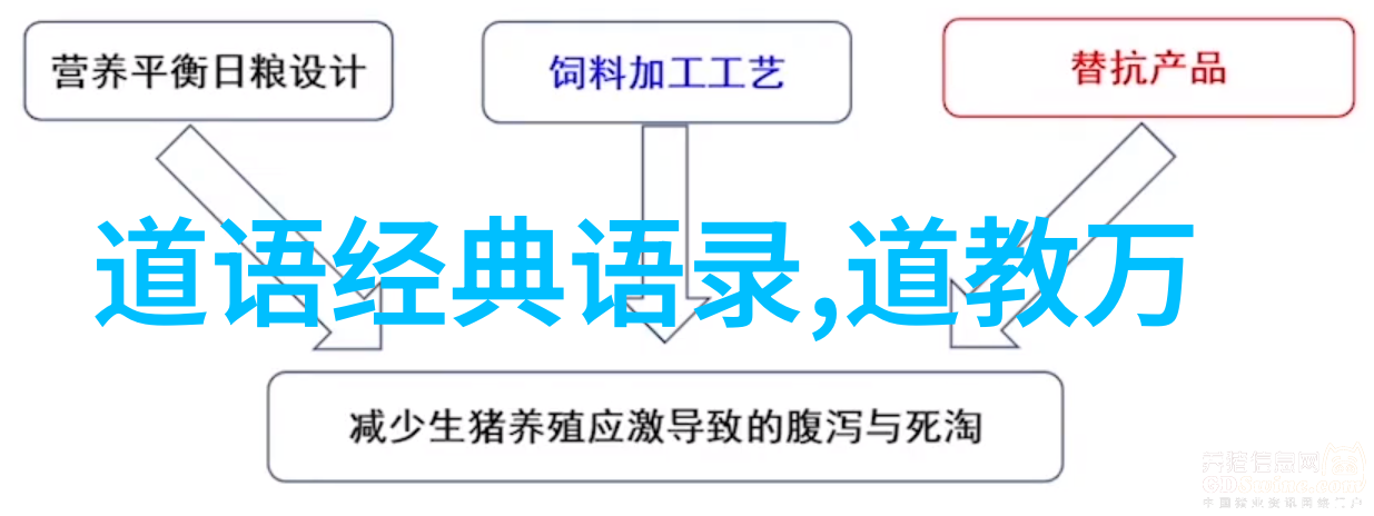 五雷诀在不同历史时期中的作用与变迁有哪些特点