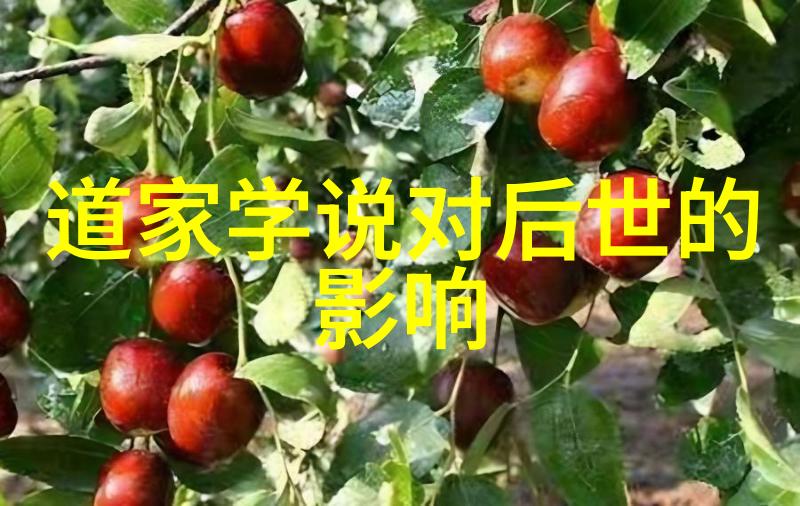 在现代社会里实践无愿意就要坚定不移吗