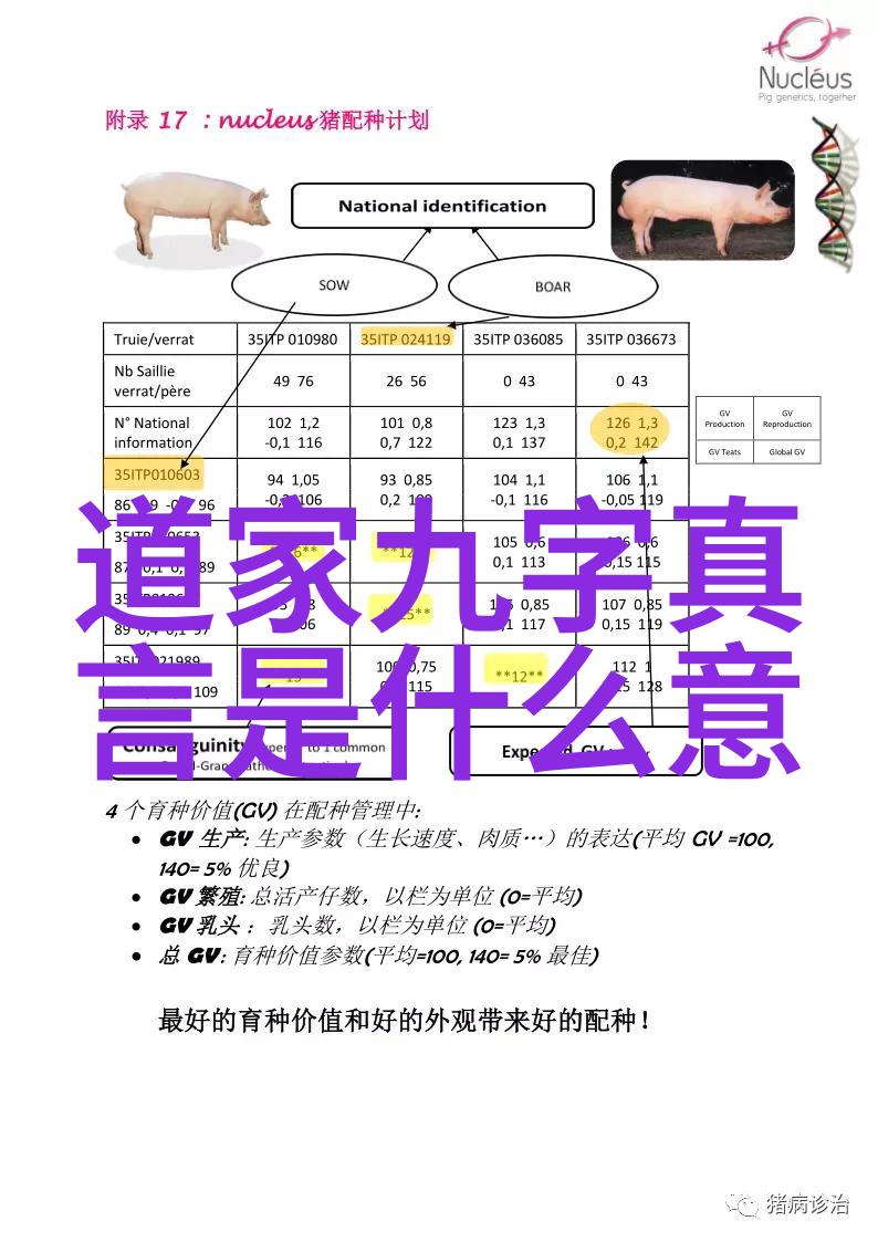 在这座古老的茶馆里仿佛时间凝固每一位客人都带来了他们56个民族的节日之光让这个空间成为一个多彩纷呈节