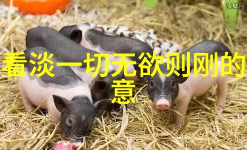 香料梦幻小豆蔻小说全文阅读