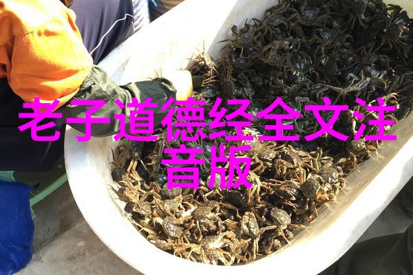 欲望的枷锁与意志的锻造无欲则刚的哲学探究