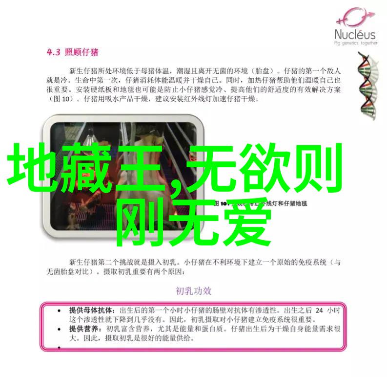 在一片遥远的古老国度里传说中有这样一个女子她的名字叫做无欲她的智慧如同星辰一般璀璨夺目人们都在问这位