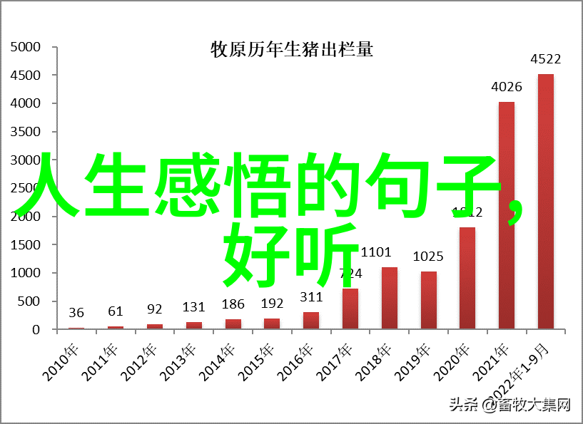 道家最厉害的人我亲眼见过的那位隐世大侠