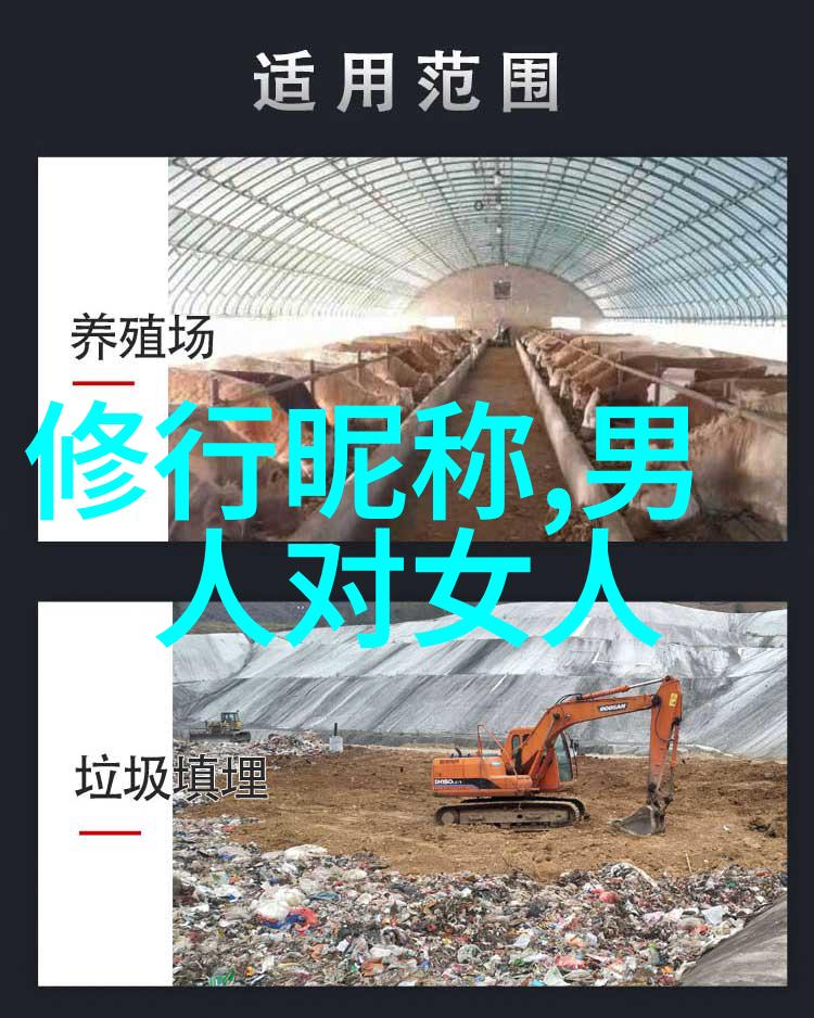 修道入门心法 - 静心寻道修道初学者的修炼指南