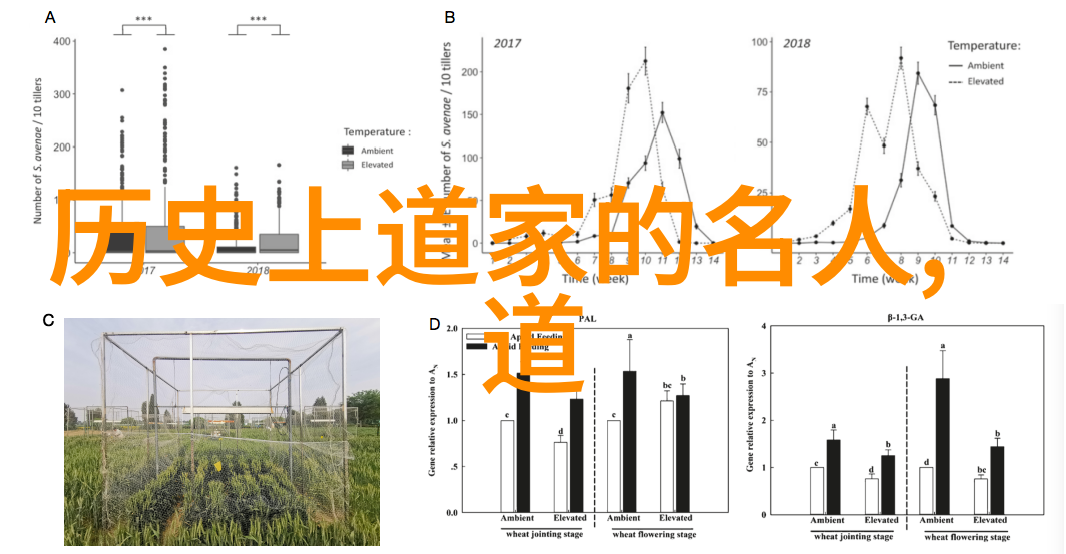 天眼破晓一口诀定乾坤