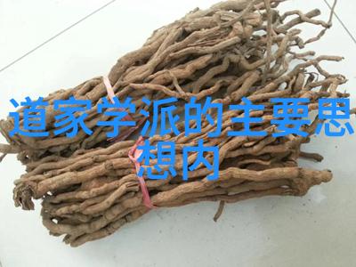 如何正确理解和运用这九个字让其力量被最大化发挥