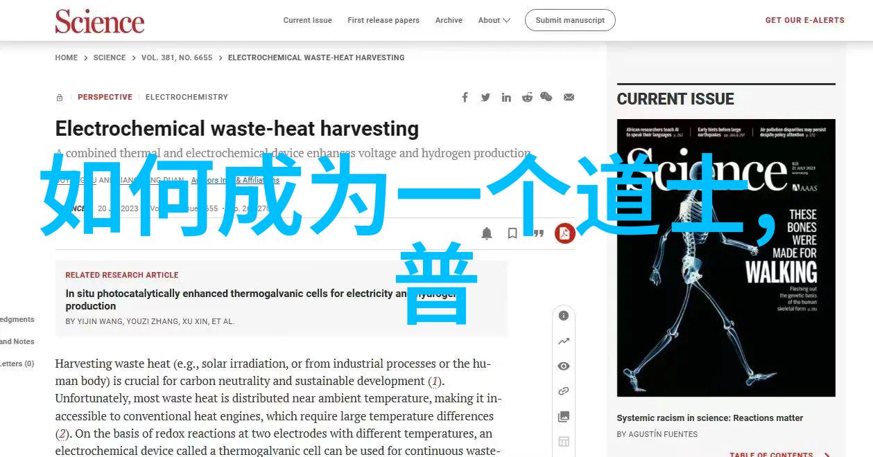 欲望的喧嚣与刚毅的沉默解读无欲则刚之谜