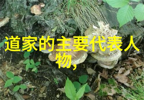 无为而治探索传统哲学对现代管理理念的启示